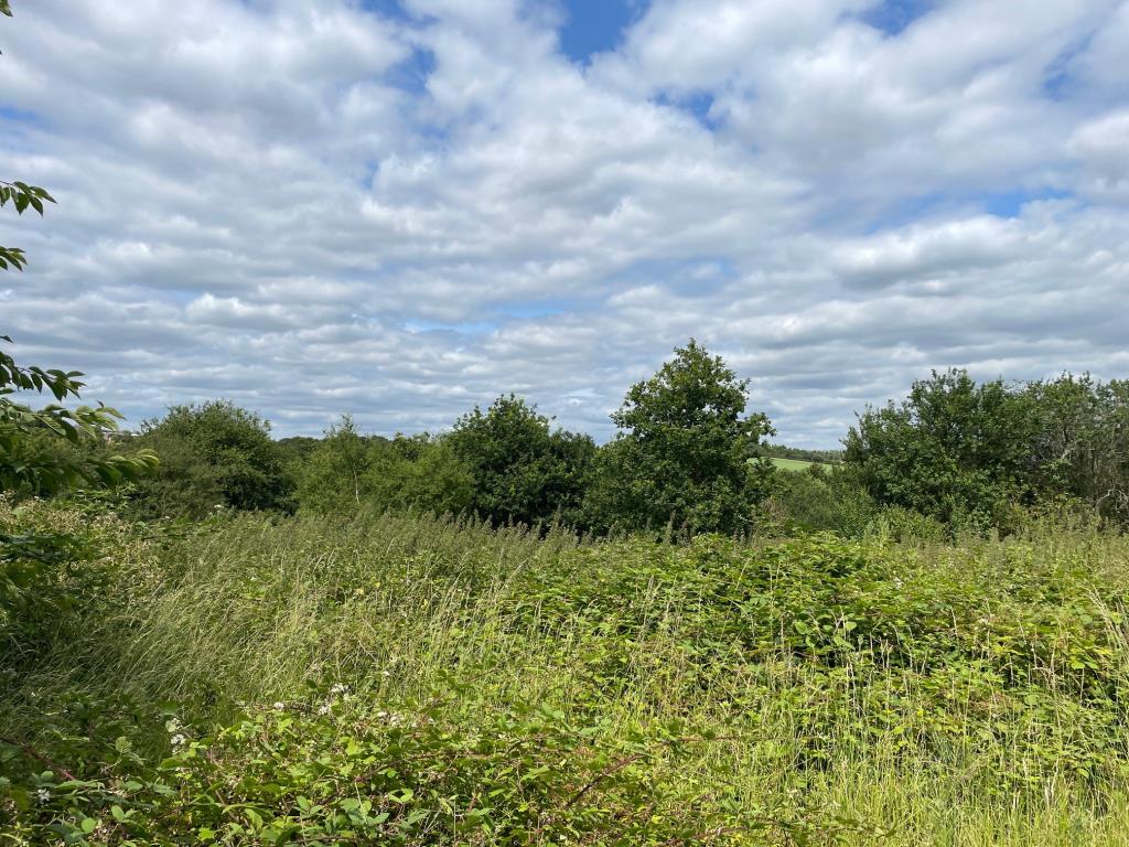 Lot: 105 - OVER NINE ACRES OF FREEHOLD GREENBELT LAND - Example view of the land from ground level